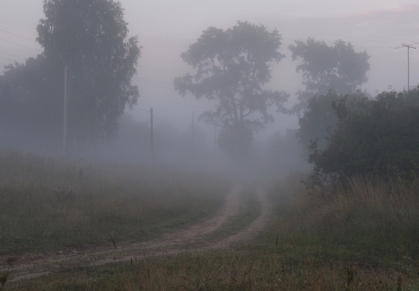 "Меня петухи разбудили, горланя во всю свою дурь..."