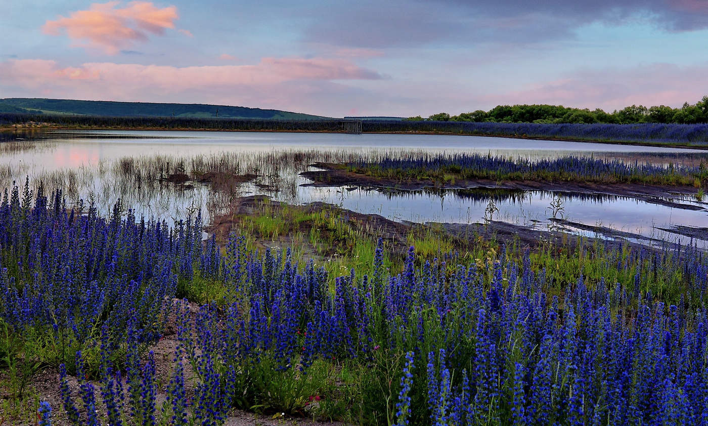 Форелевое озеро