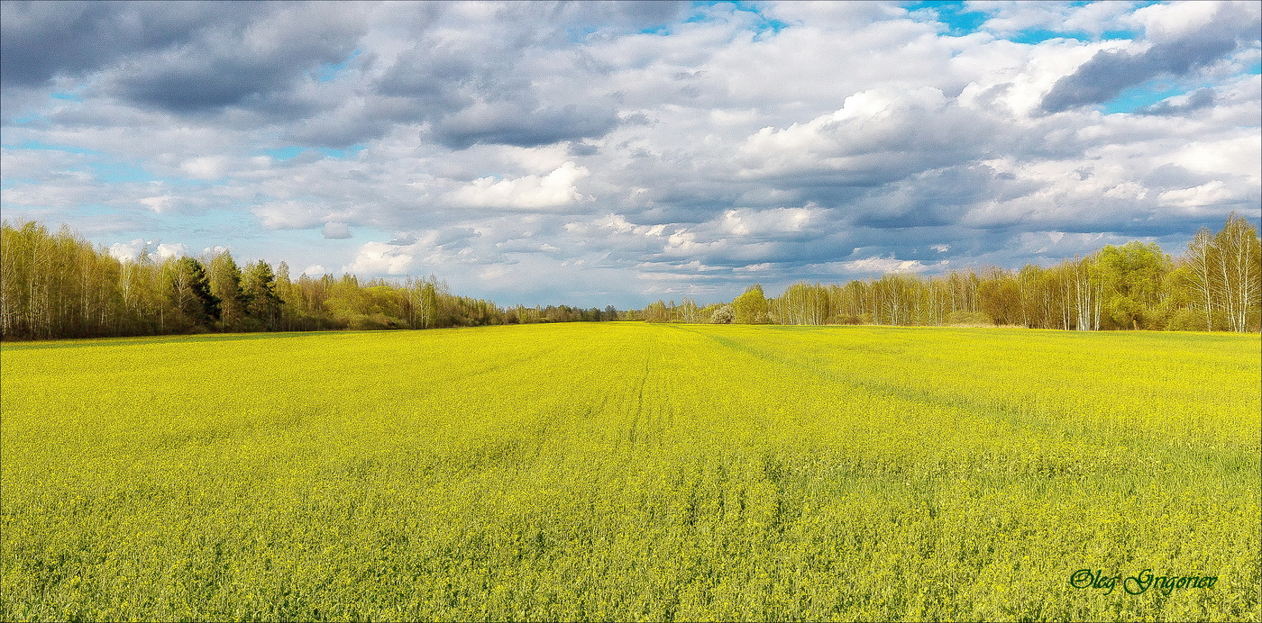 Неповторимый дух Весны.