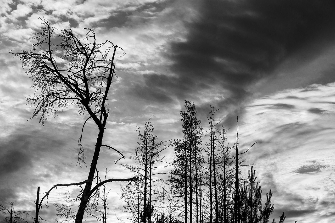 Без названия...