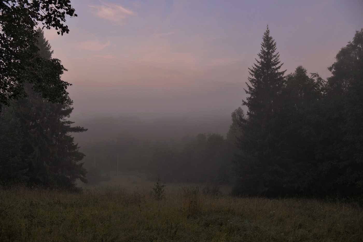 "Светает ... Но кругом пока еще темно ..."