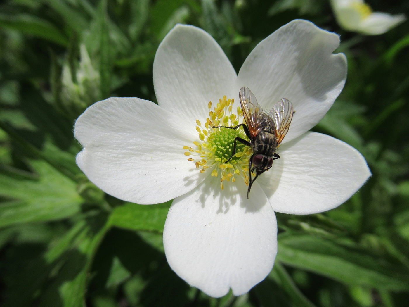 Пора подкрепиться!