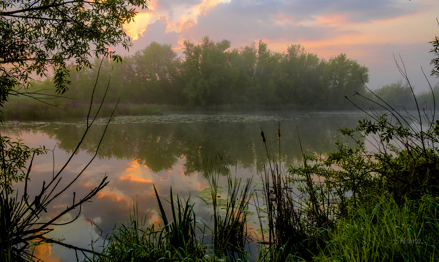 Облака на рассвете.