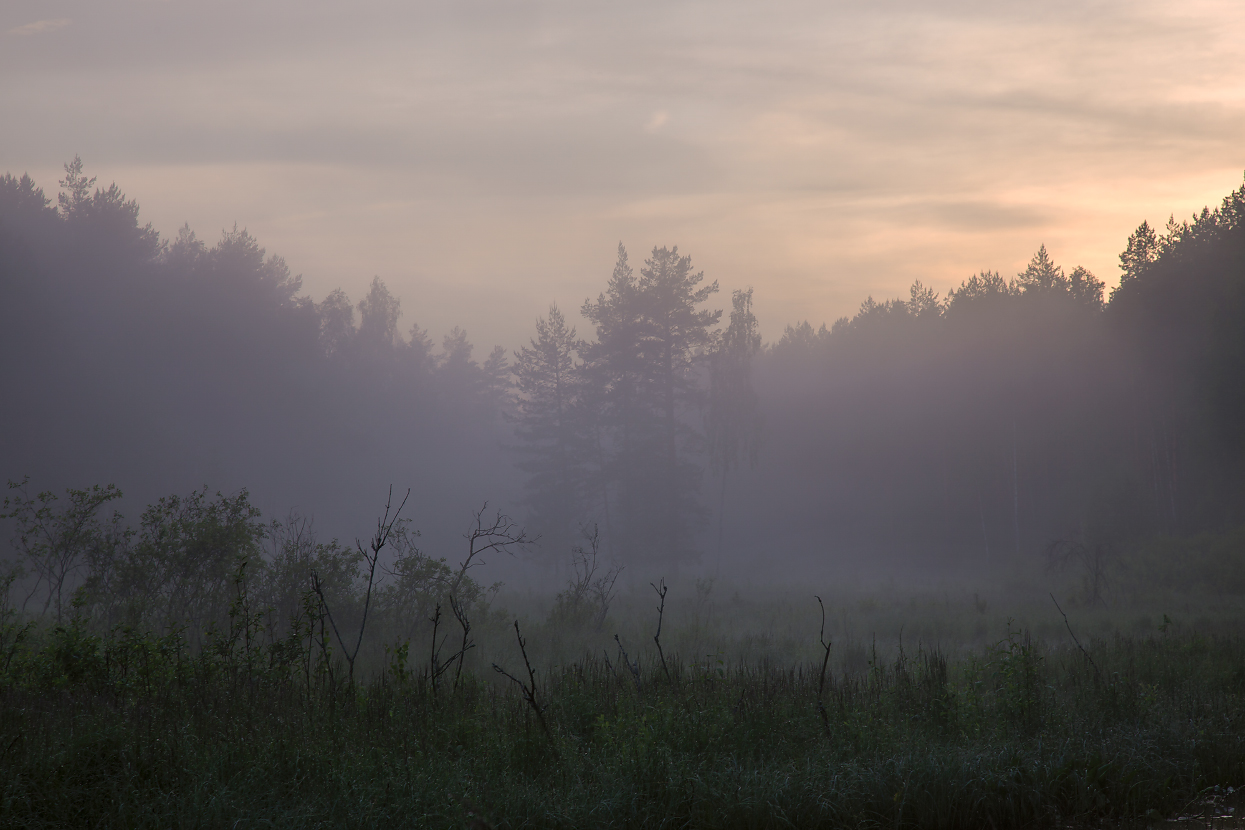 Смеркалось