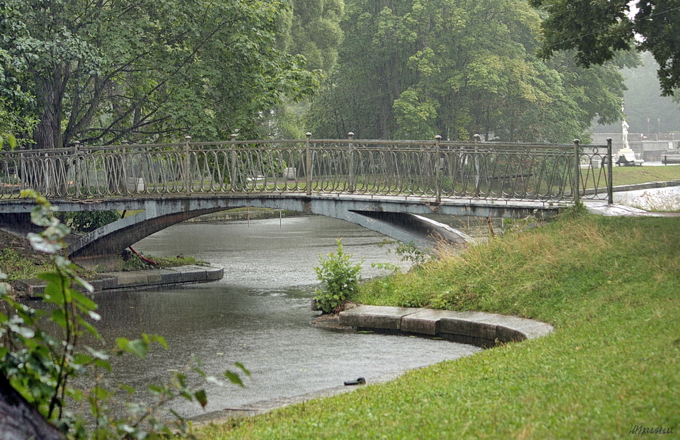 и в Питере тоже...дождь...