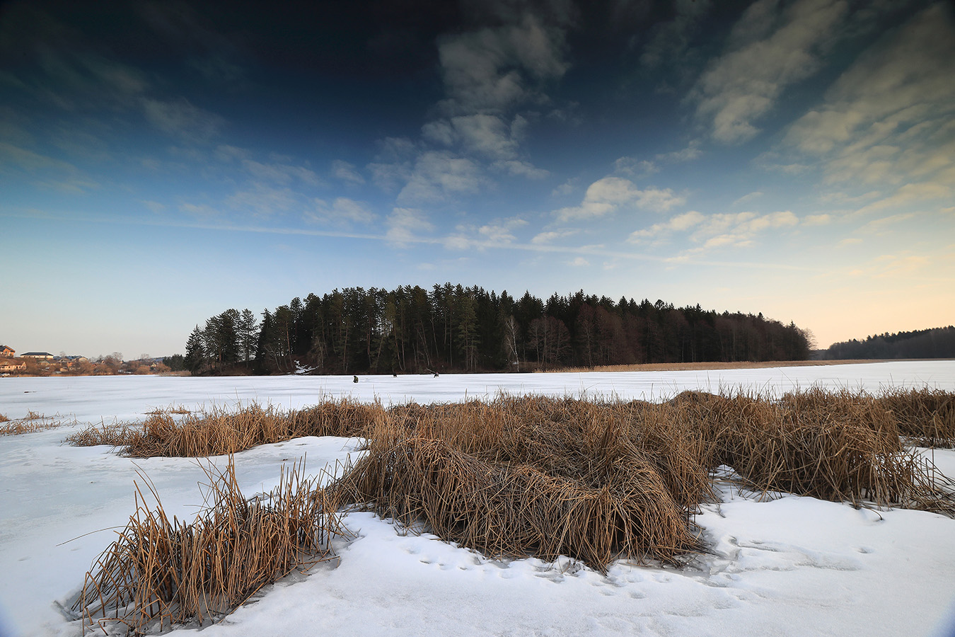 весенний ветер