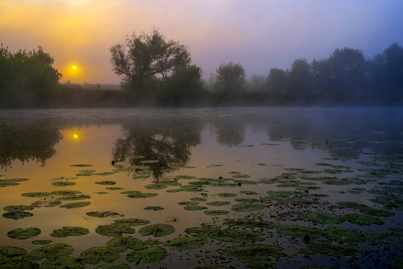 Рассвет на озере.