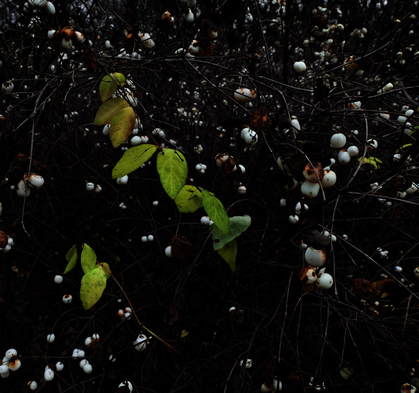 Ближний космос