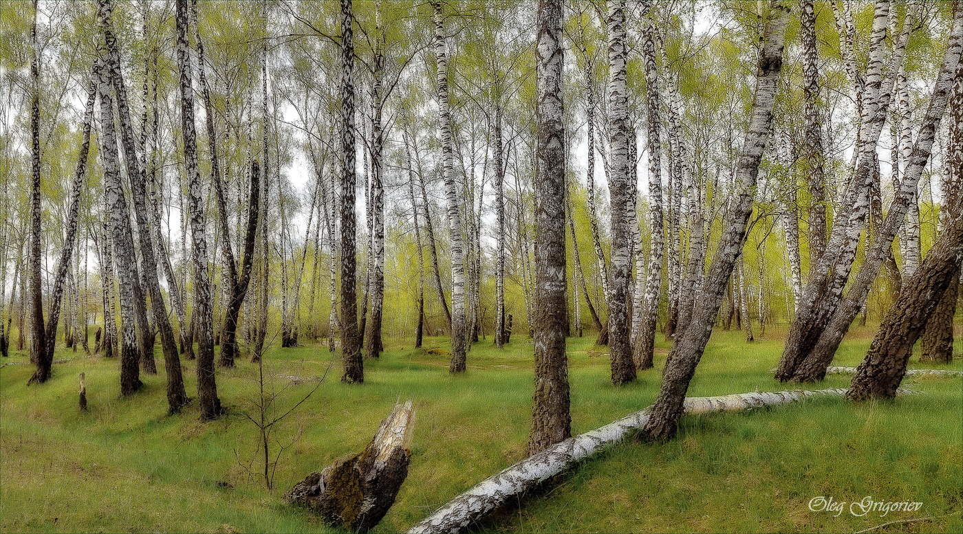 Весна перед глазами зарябила...