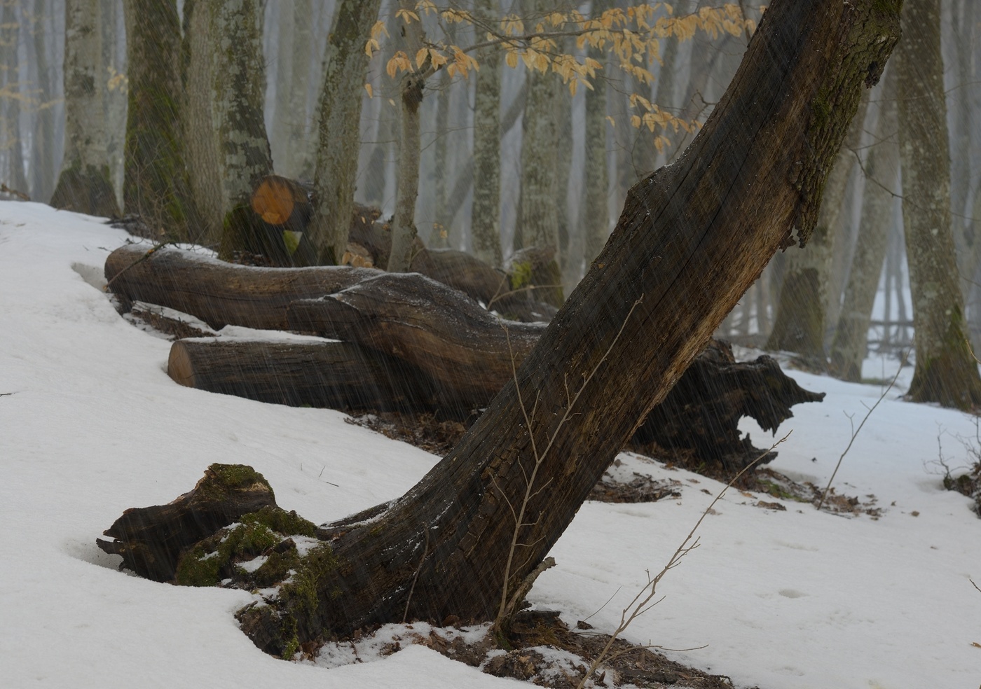 А снег идет...