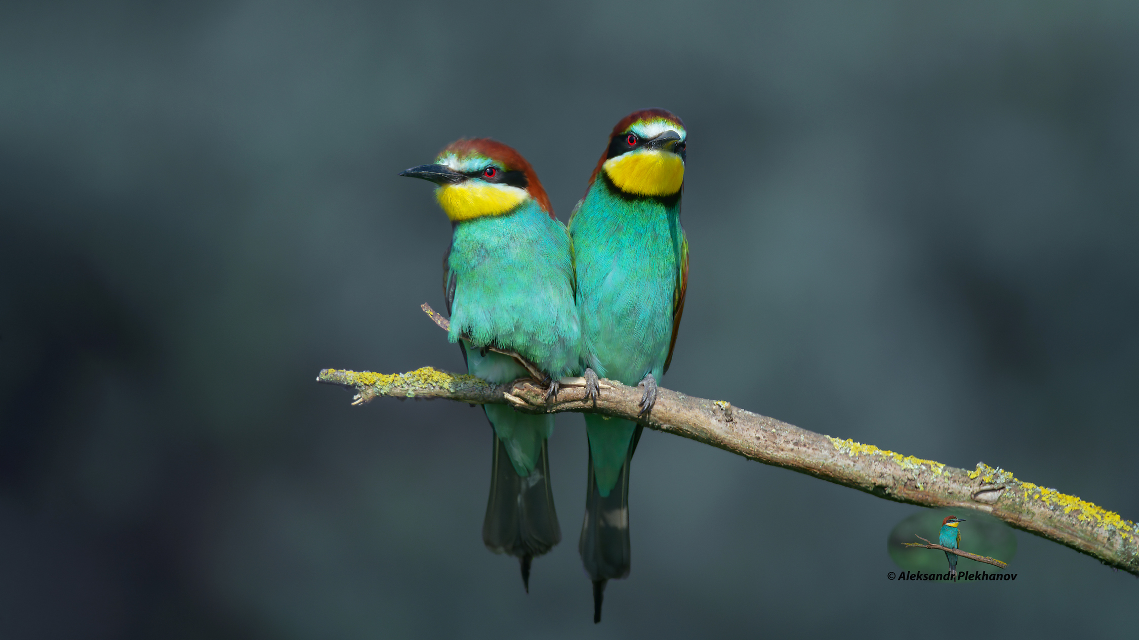 Посидеть рядком