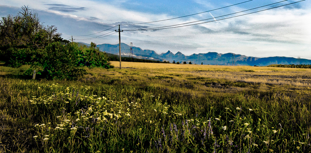 Простое поле.