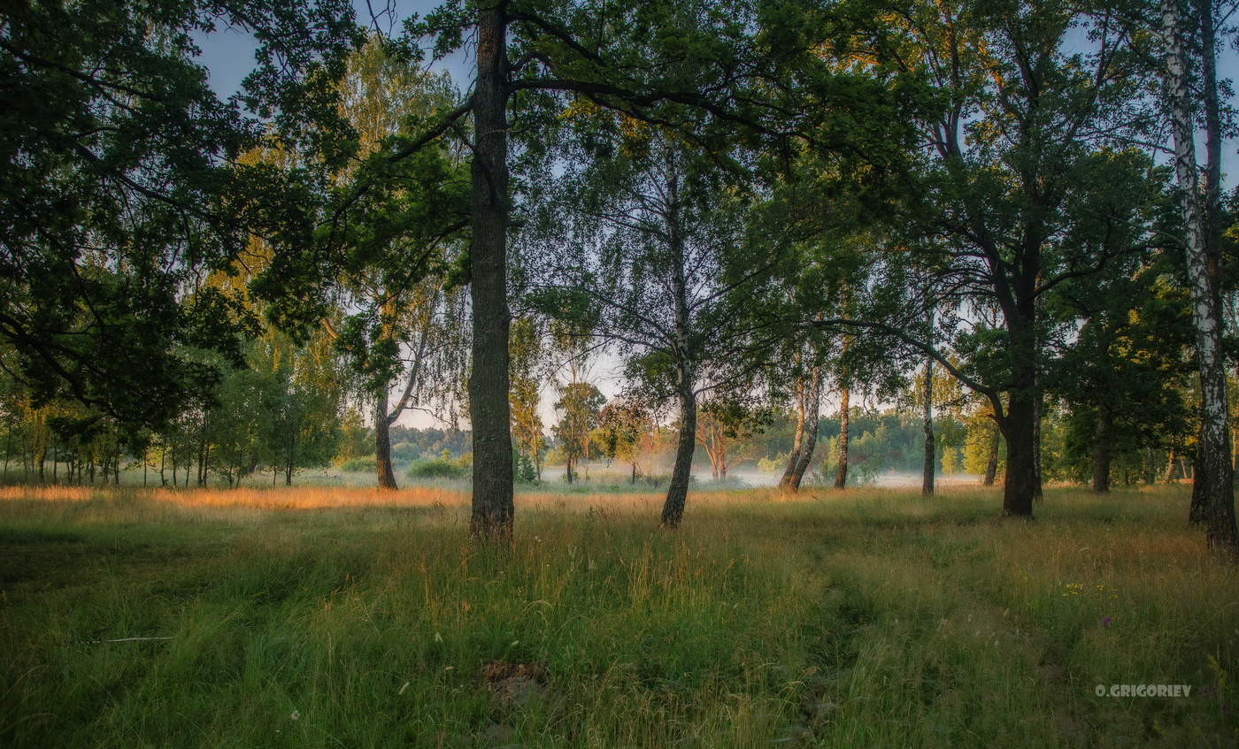 Утренний миг пробужденья...