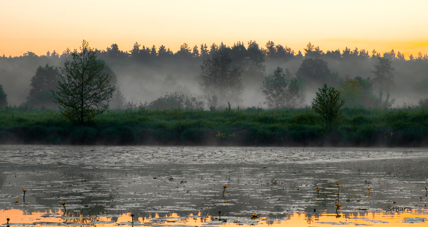 Сегодня утром.