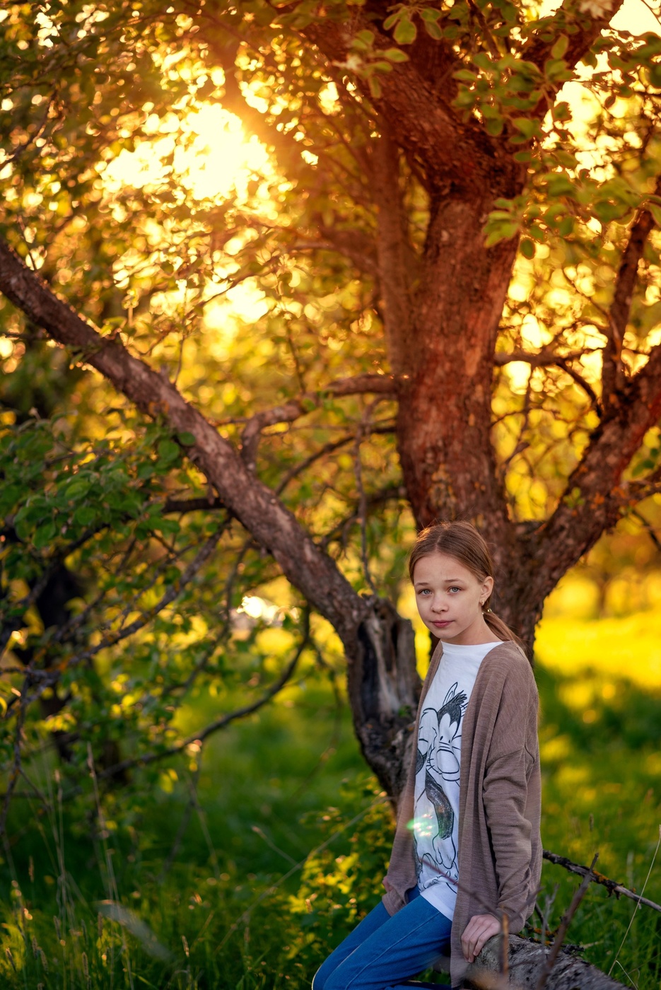 За полчаса до захода Солнца
