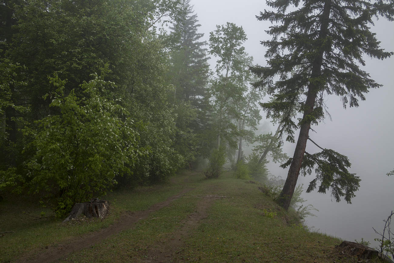 Утро на берегу Оки