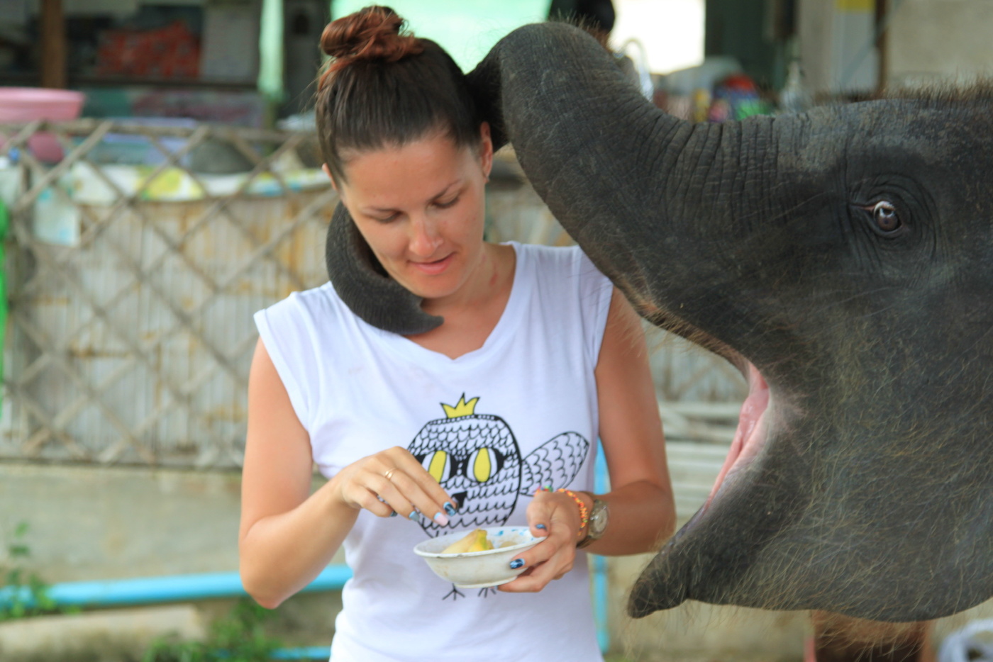 Ну покорми меня!…