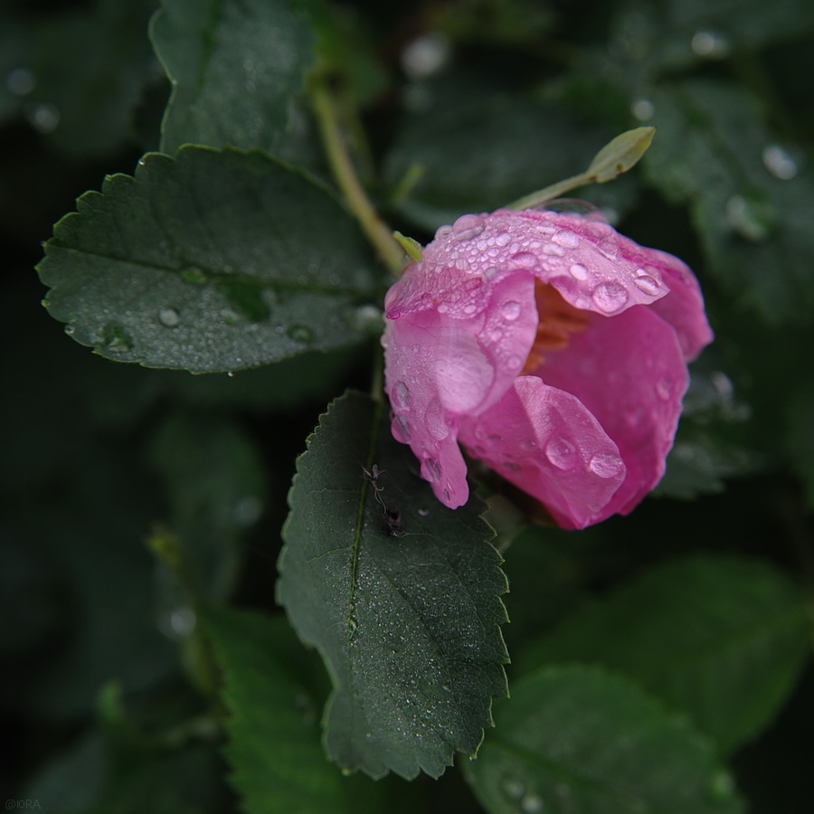 за две минуты до...