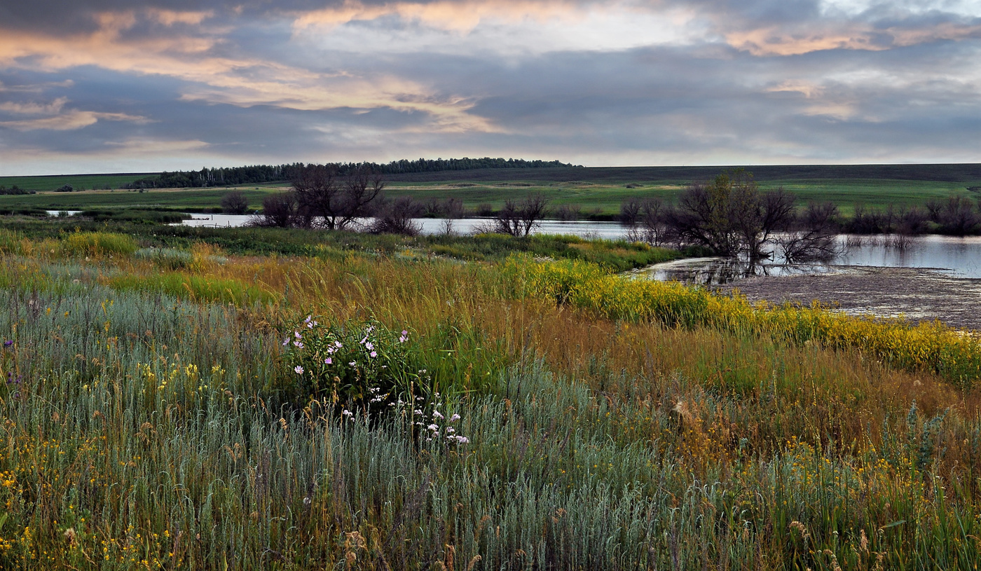 Приволжские степи весной.