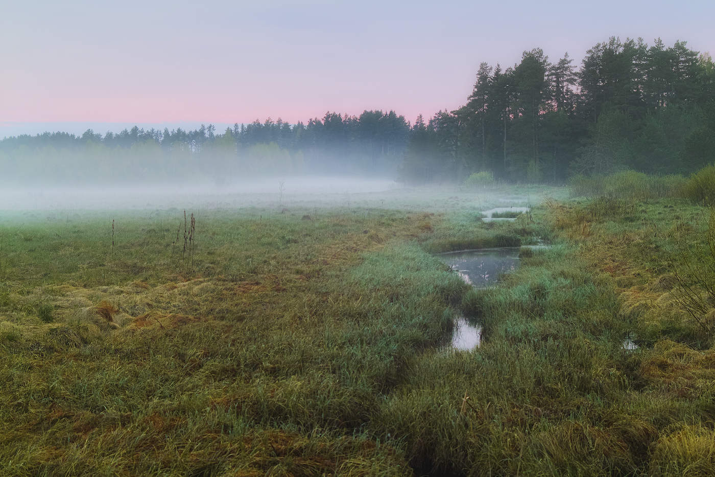 День просыпается