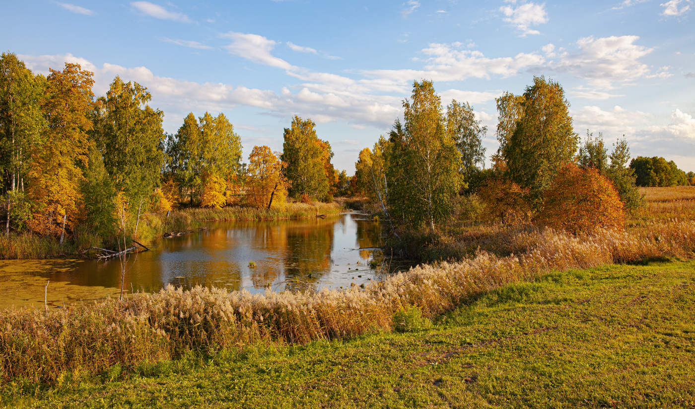 Вспоминая осень