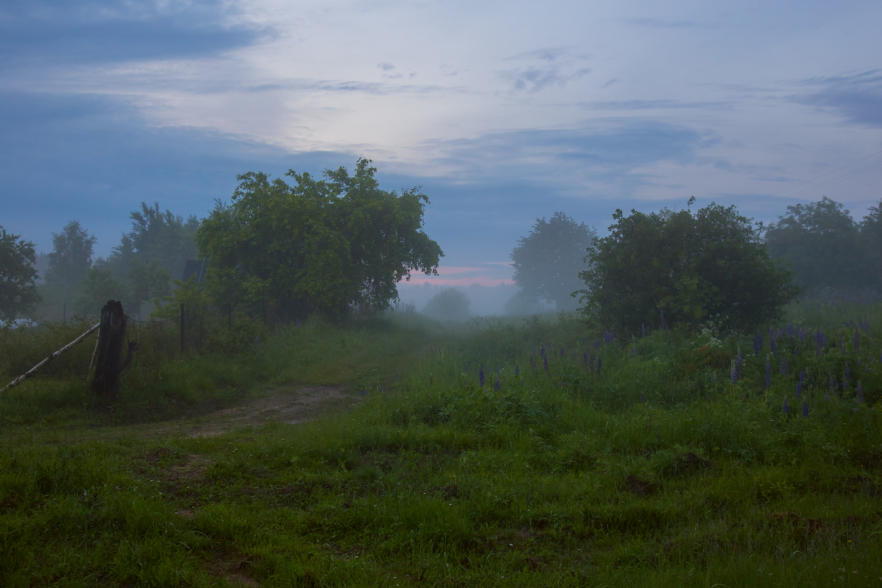 Вечерний туман