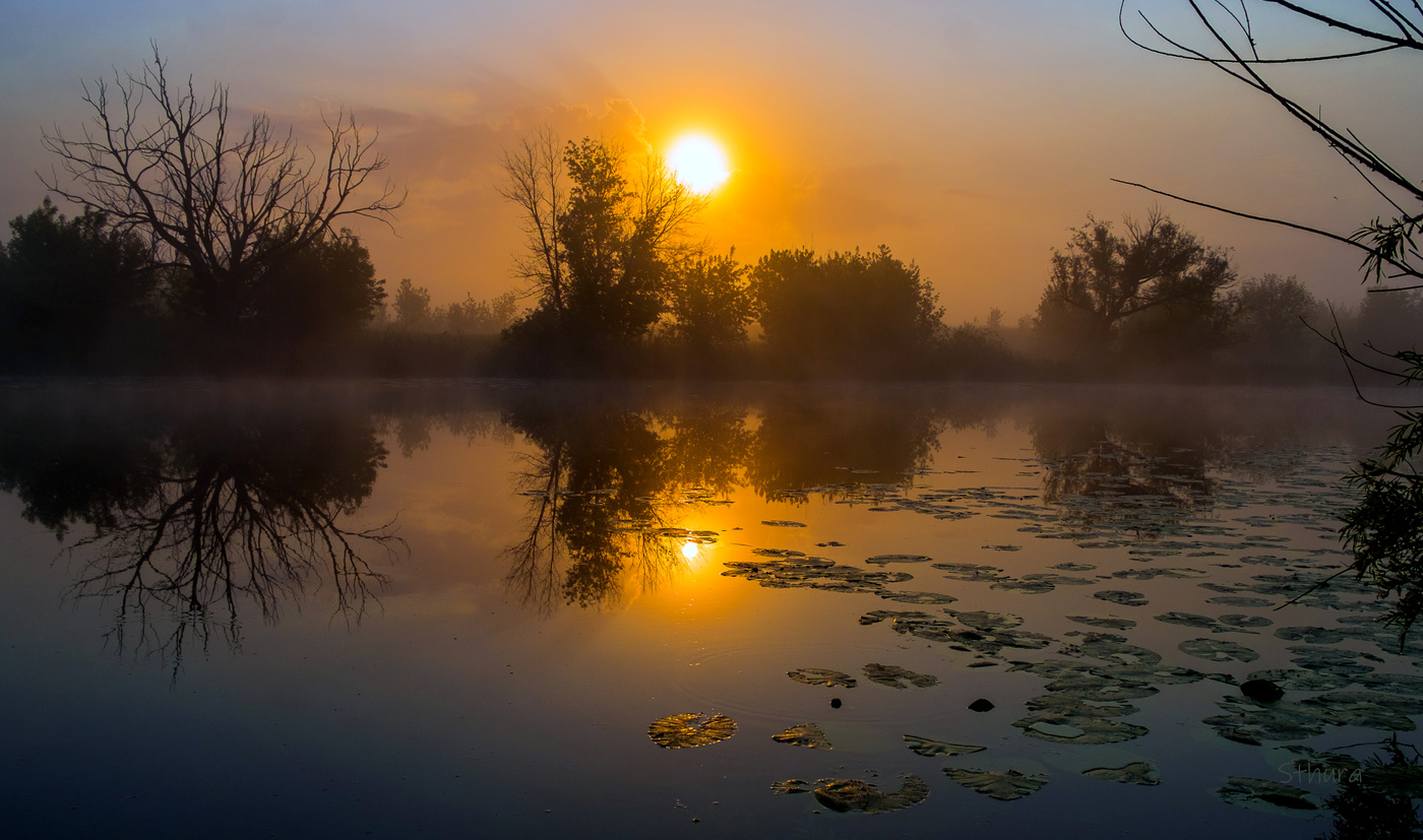 Начало дня.