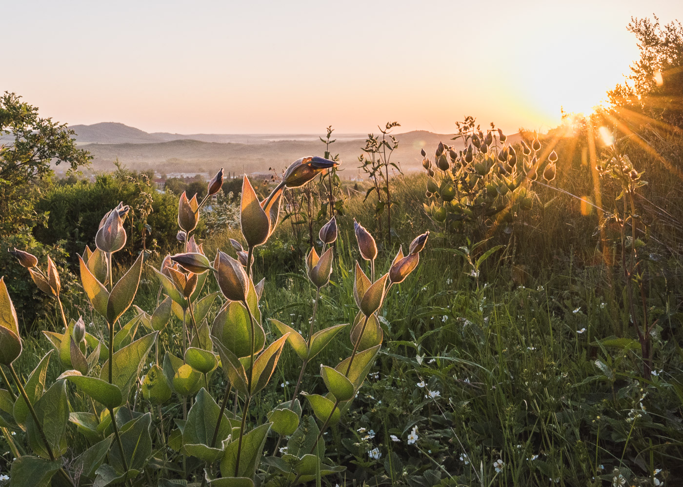 Купаясь в солнечных лучах