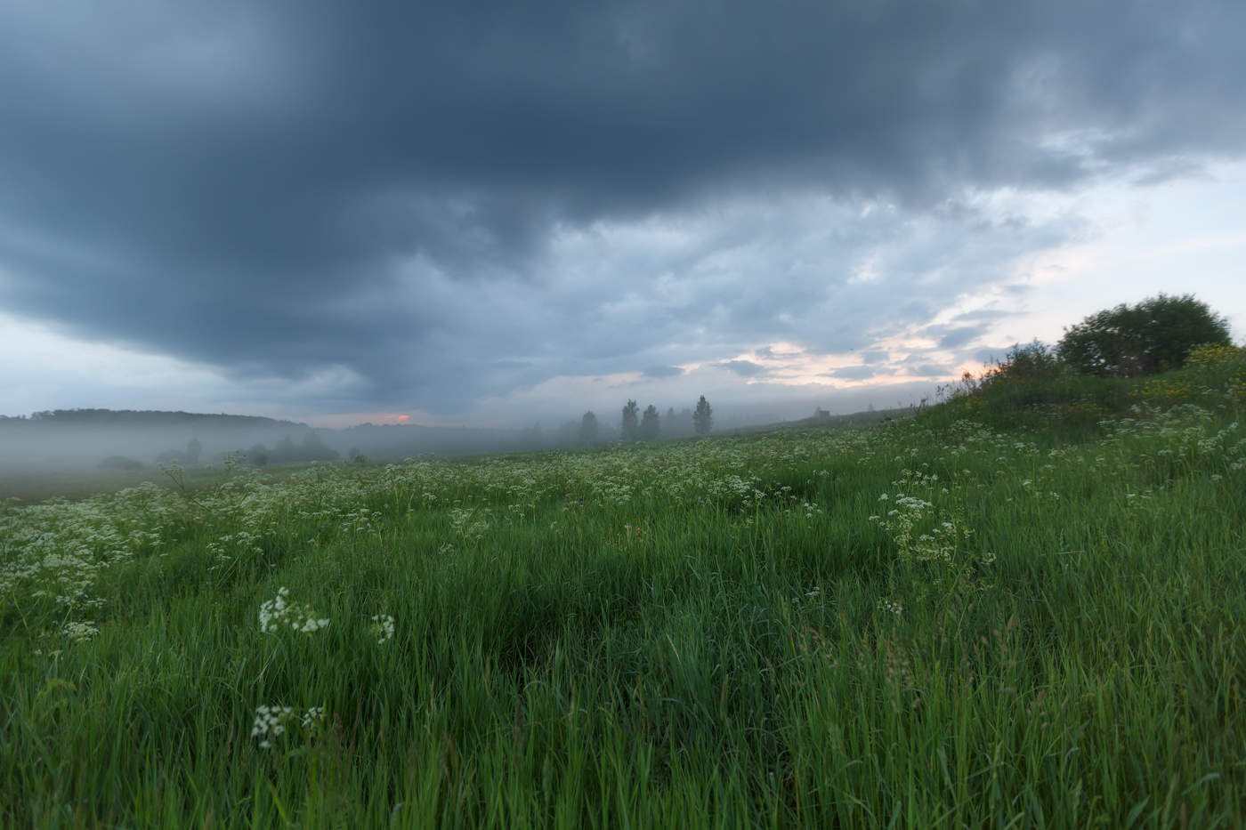 Июньские туманы