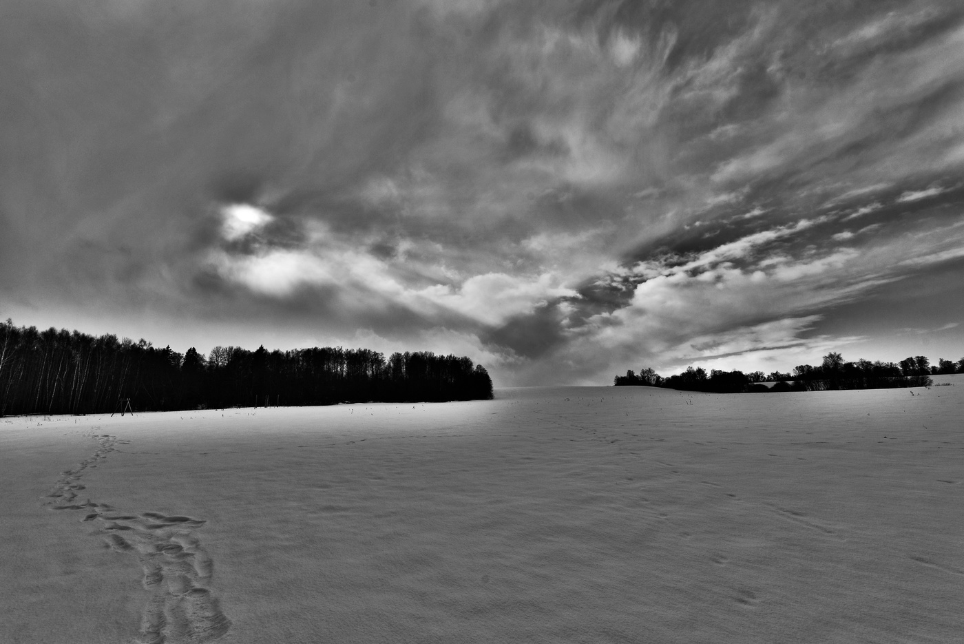 Прекрасный угрюмый день ...