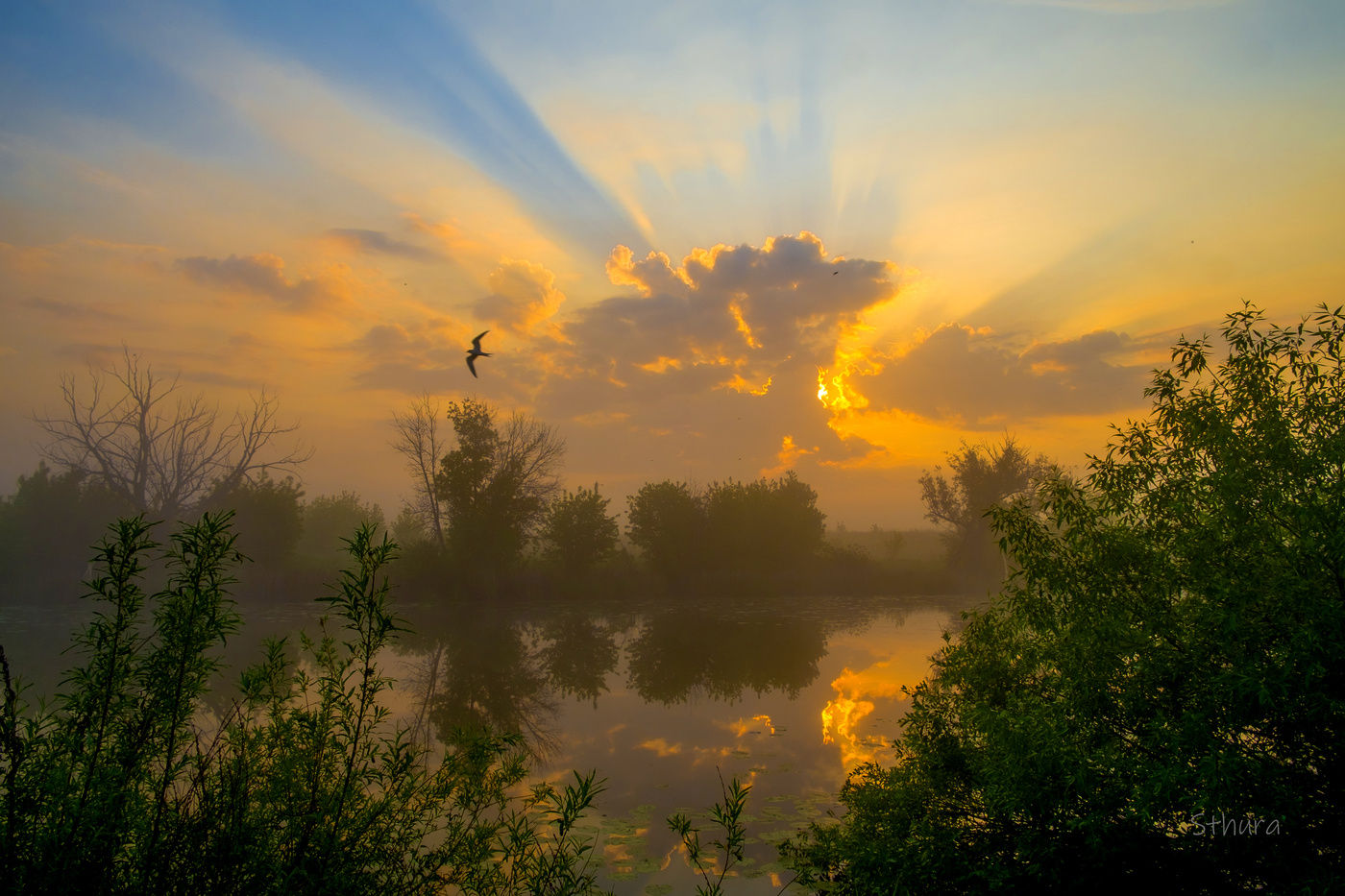Солнце спряталось за тучку.