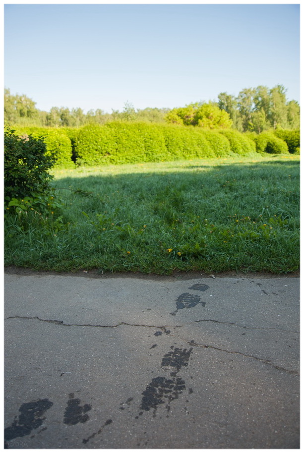 После Вероники