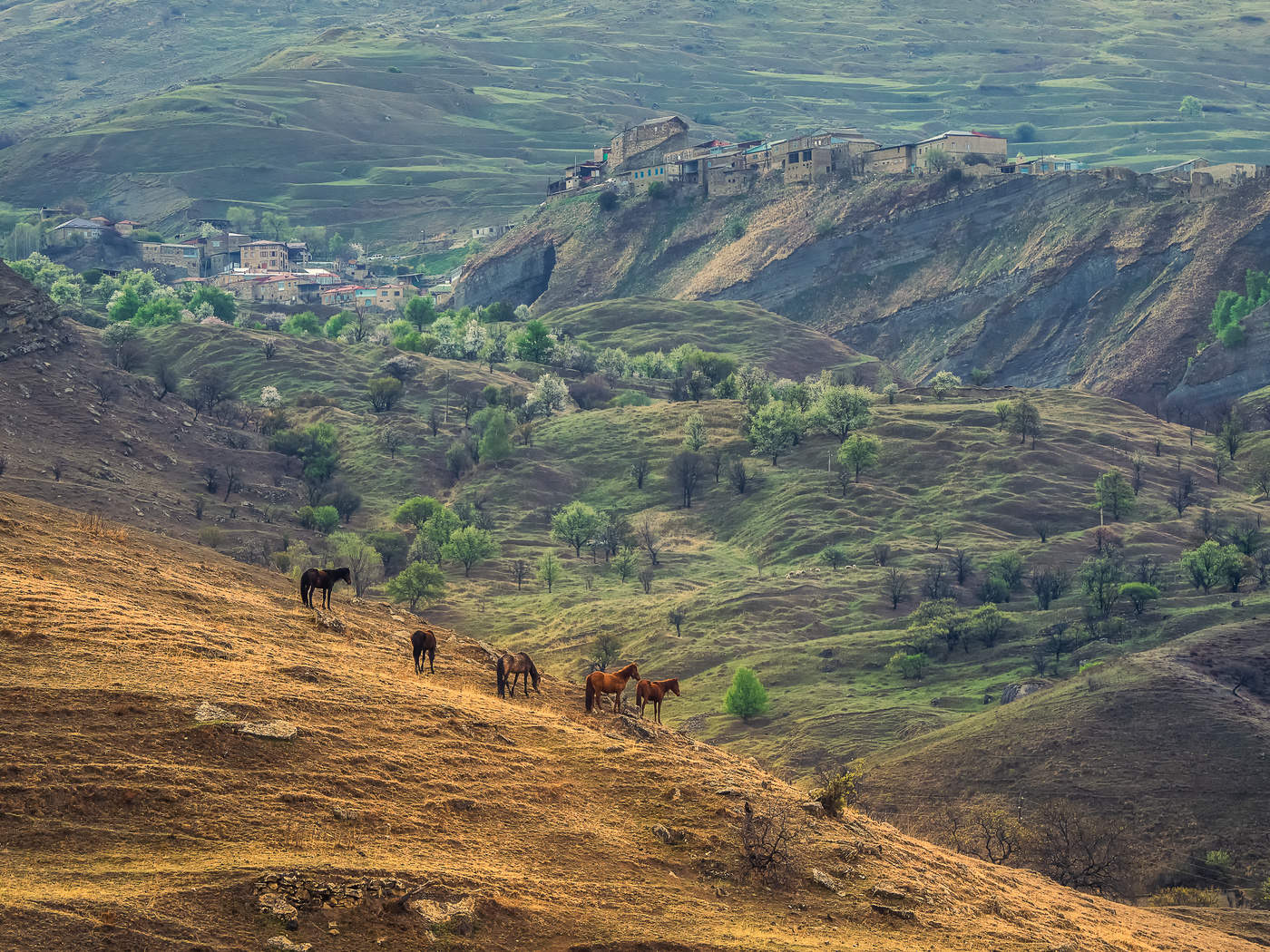 Мирное утро. Дагестан.