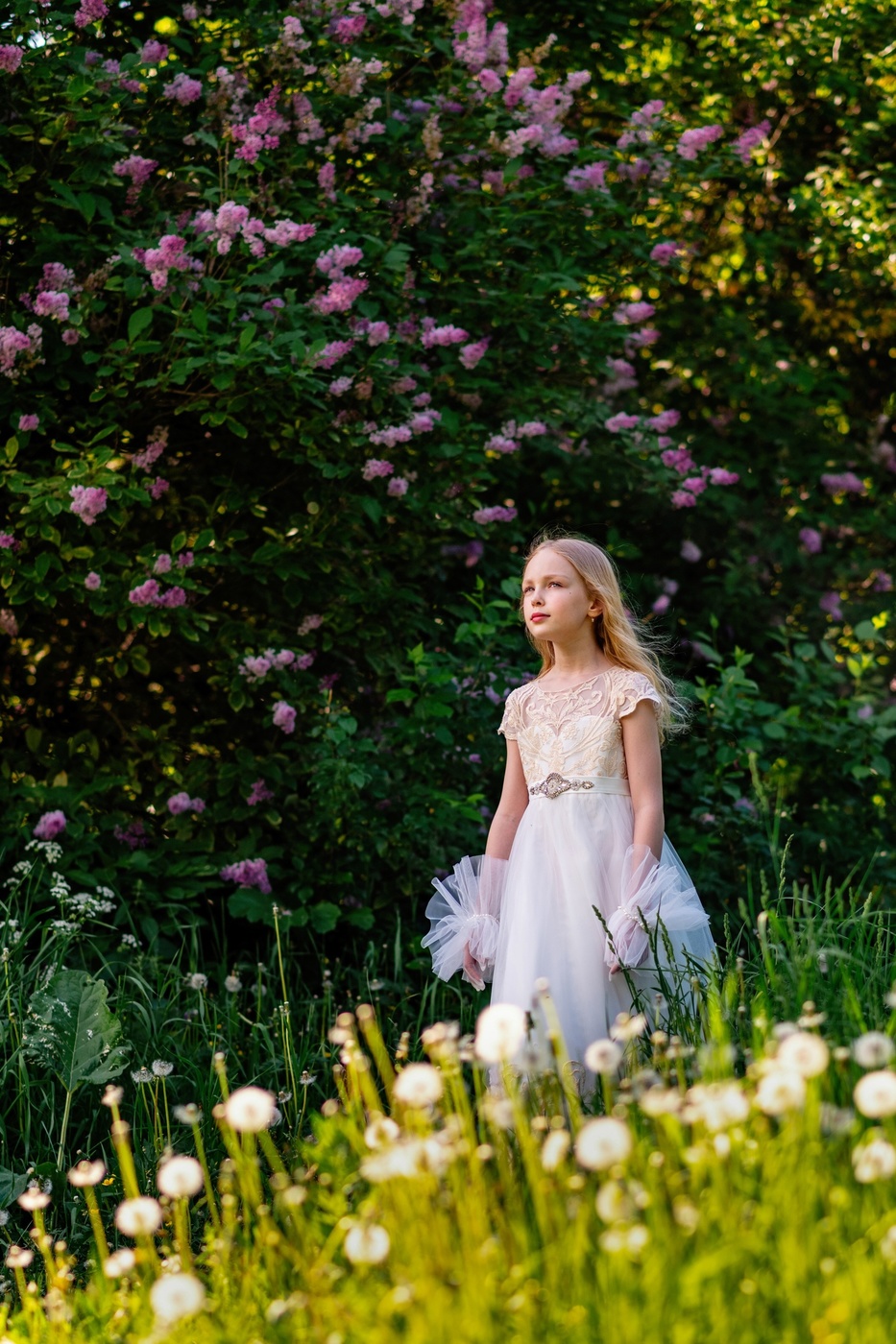 Сирень с одуванчиками