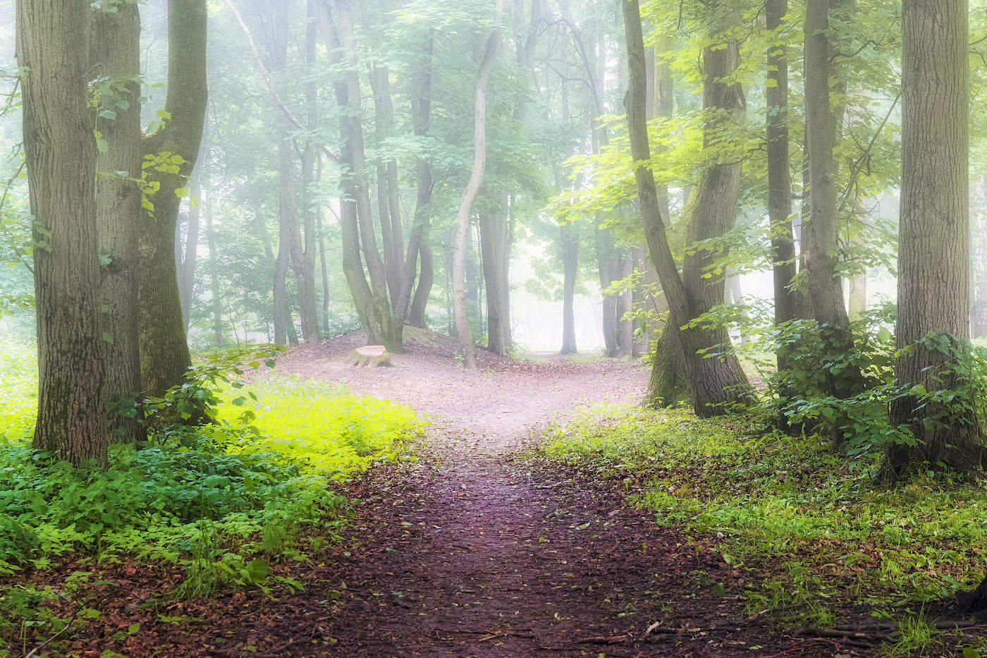 В туманной дымке