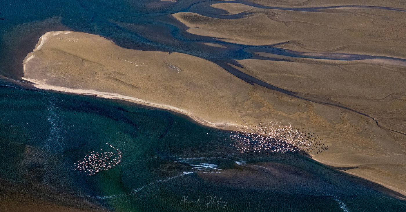 Страна фламинго