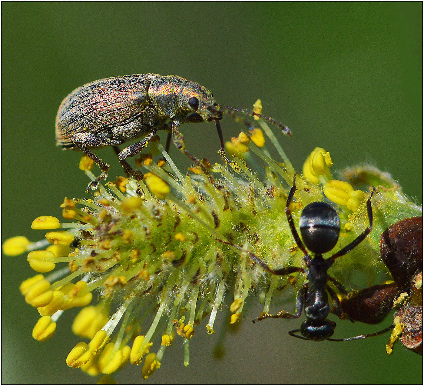 "А-ну, проваливай".
