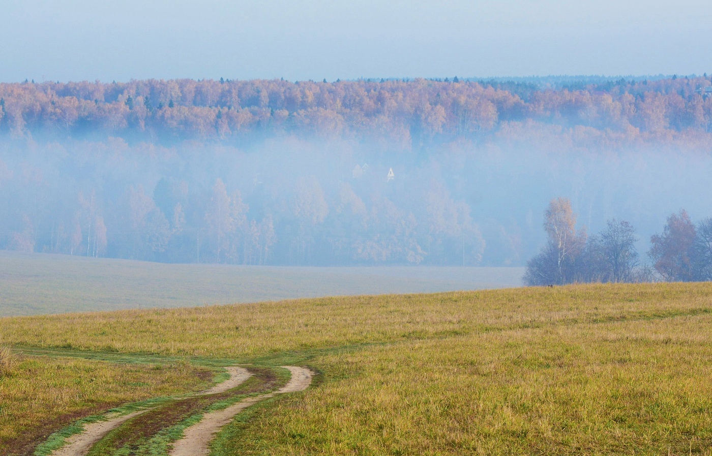 Утро осеннее, утро туманное ...
