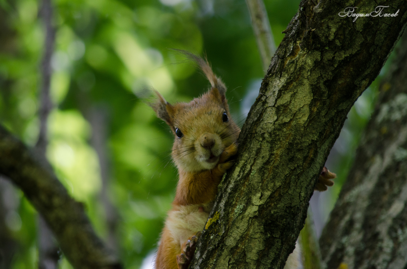 Что ты со своей коробкой уставился на меня.