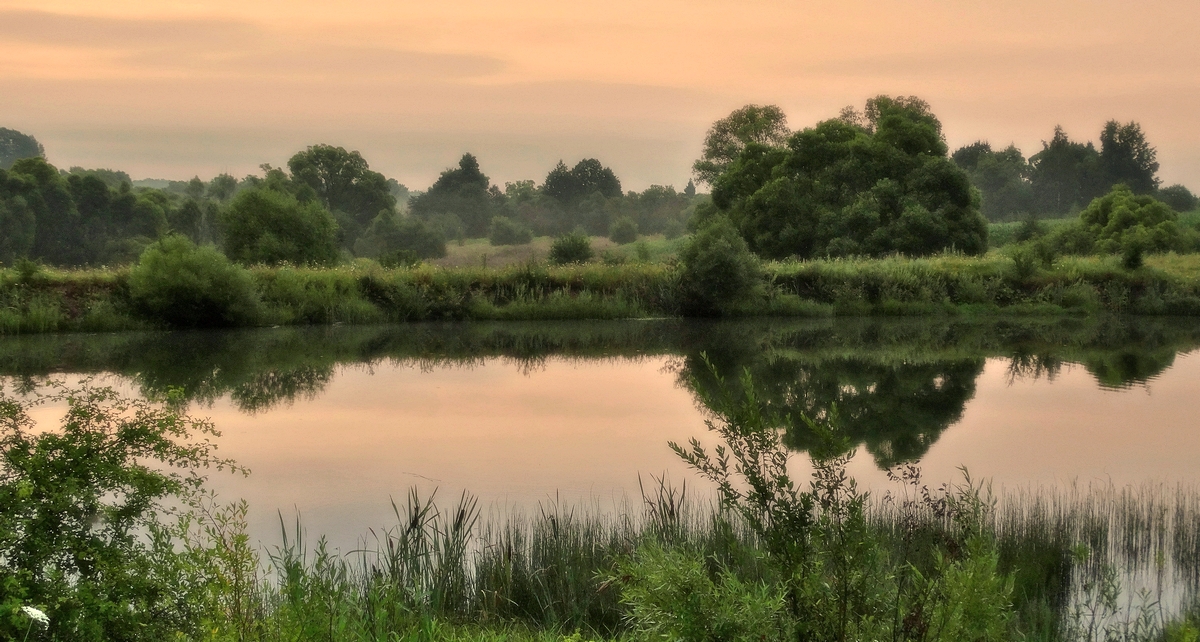 Розовый рассвет в туманной дымке