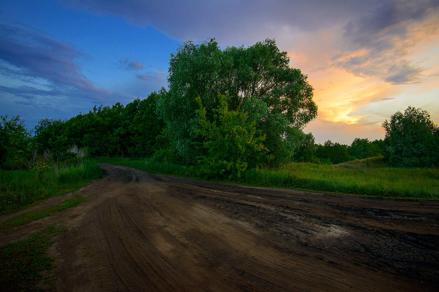 Дорога домой...