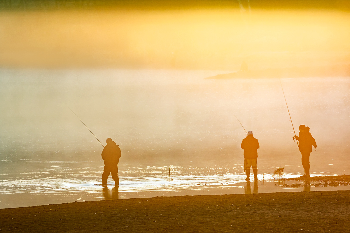 На утренней заре