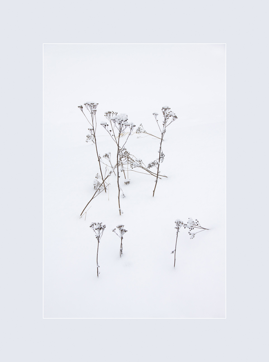 Иероглиф "Зима"