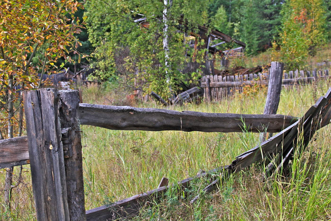 Деревенька...