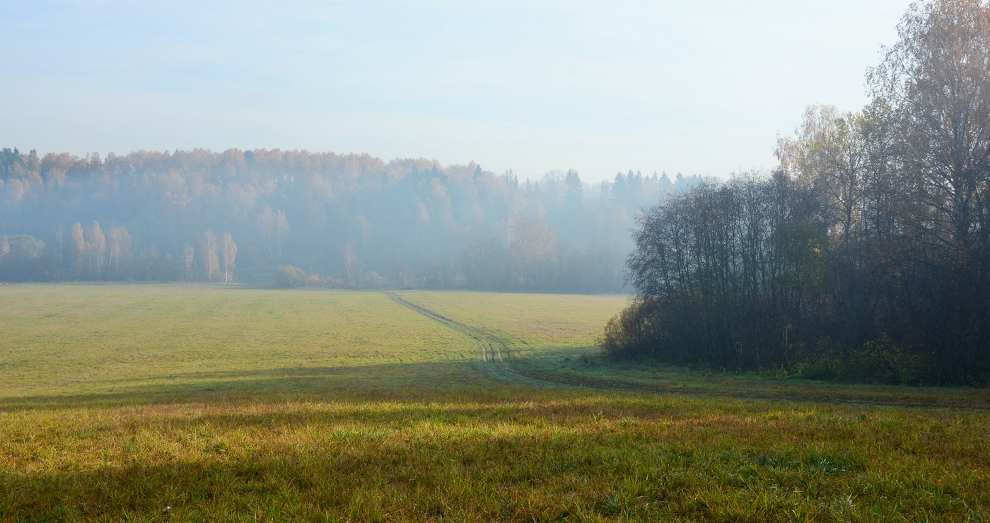 "Дни поздней осени бранят обыкновенно, но мне она мила..."