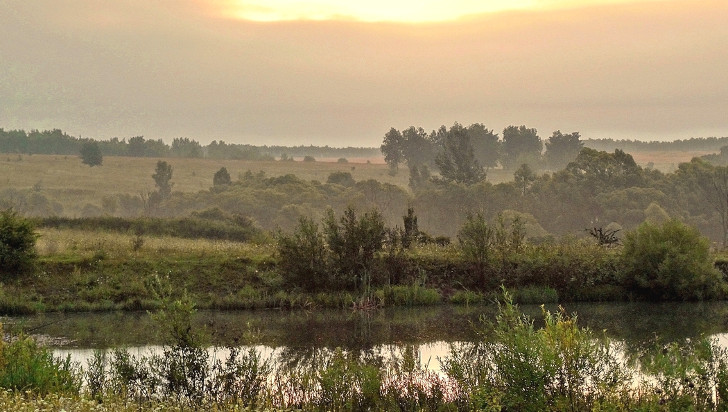 Утро раннее, утро туманное