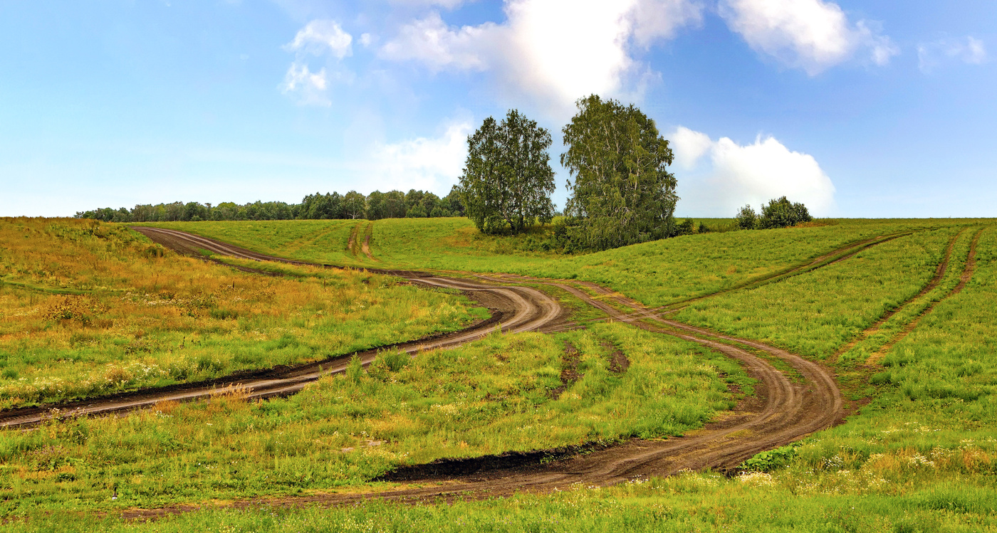 Дороги в поле