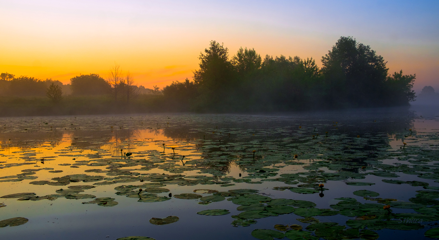 Скоро солнце взойдёт.