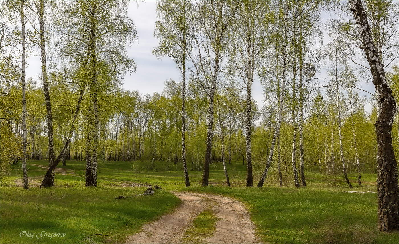В царстве вечернем зеленой Весны.