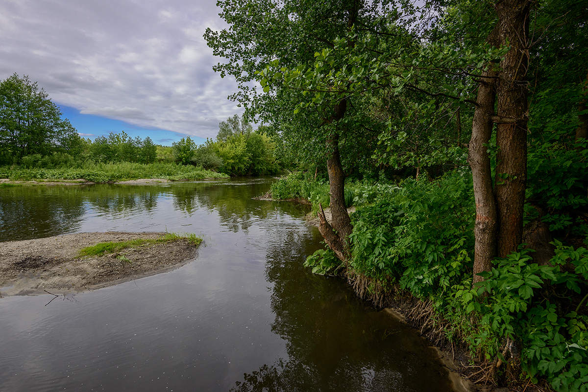 Свияга река...
